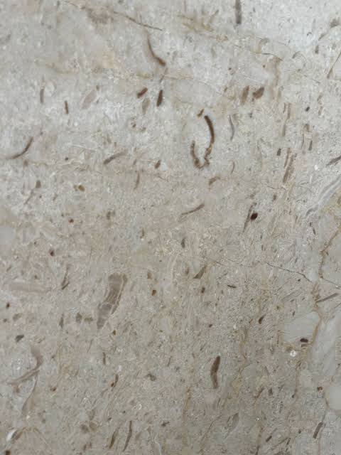 Table Basse Dougga — Marbre Naturel et Bois Massif